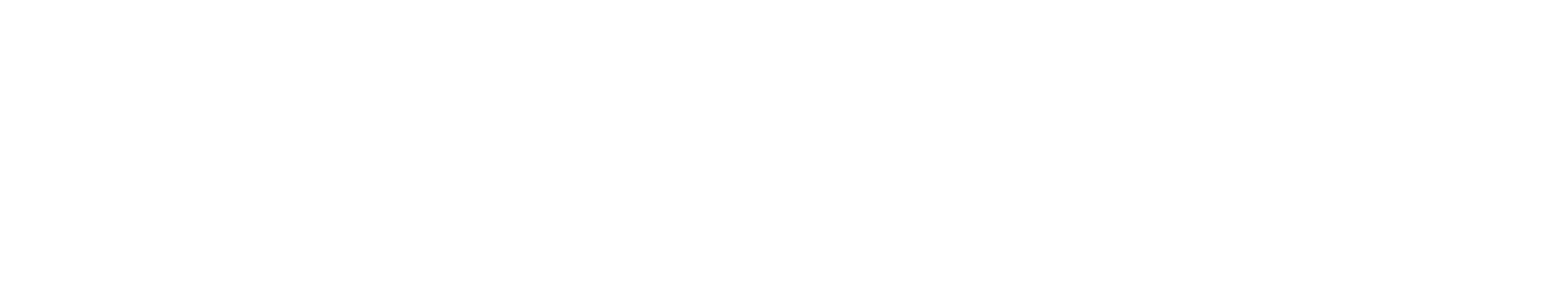 Kabisa Logo W