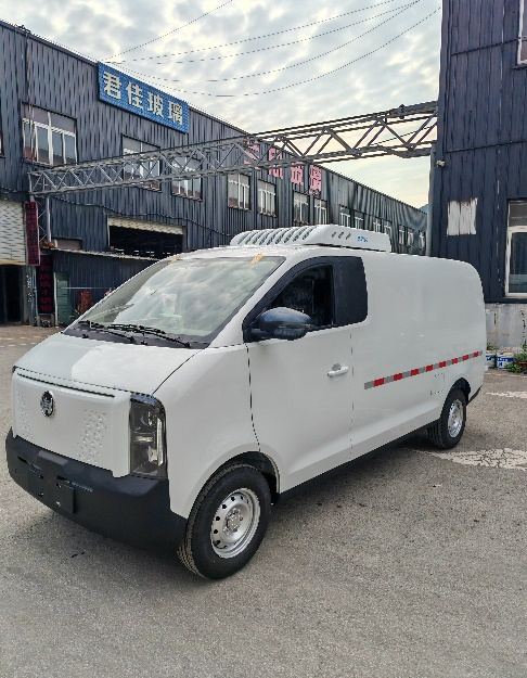 Gecko EV48 Van